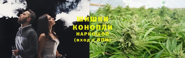стаф Верея