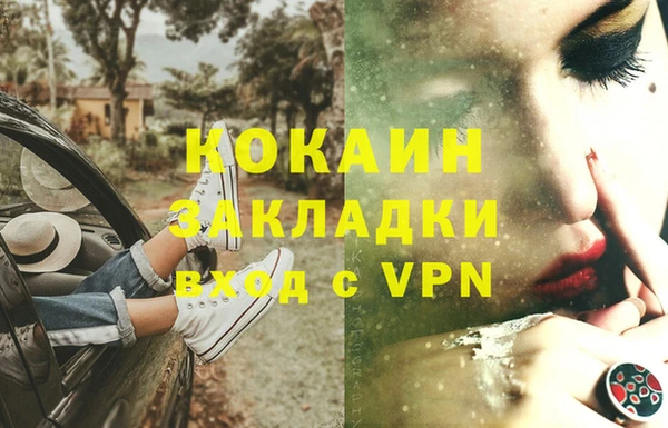 стаф Верея