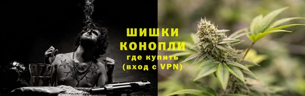 стаф Верея