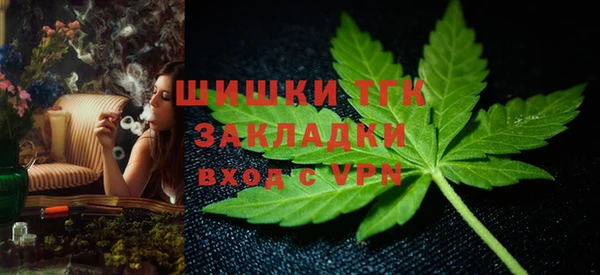 шишки Вязники