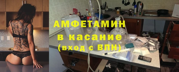 стаф Верея
