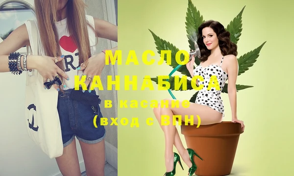 spice Бородино