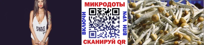 гидра зеркало  дарнет шоп  Еманжелинск  Галлюциногенные грибы Cubensis 